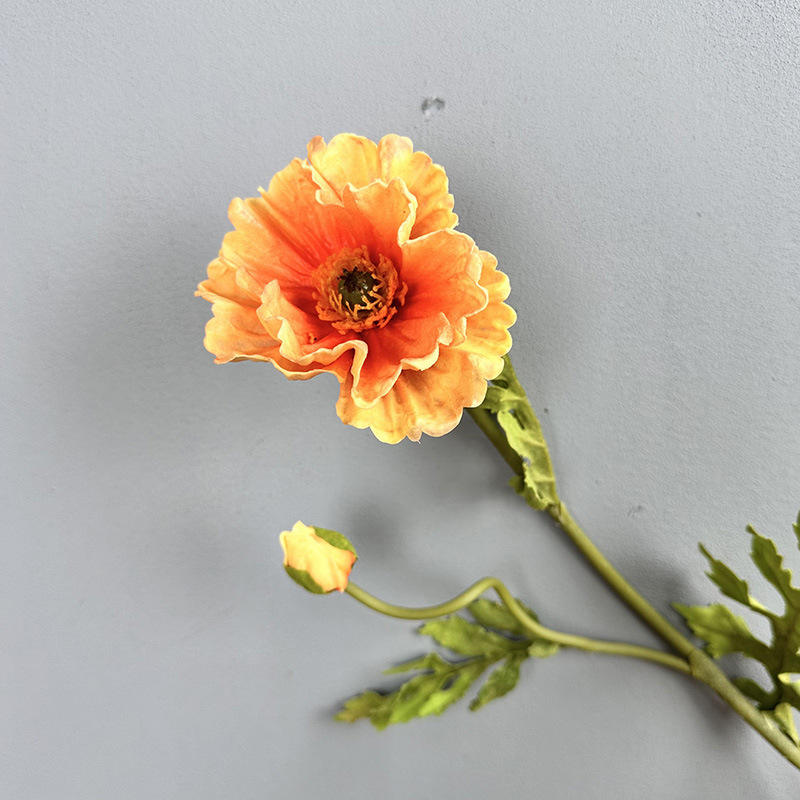 ปะการัง