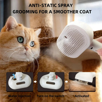 Peigne de toilettage pour animaux de compagnie, vaporisateur, élimine les poils flottants, les peluches, le coiffage à l'eau et à la vapeur pour chiens et chats, accessoires