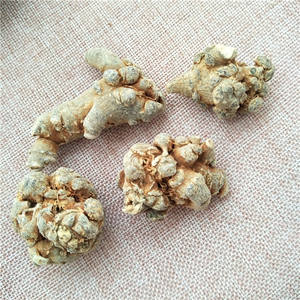 San Qi оптом китайский натуральный травяной Sanqi/сушеный корень Санчи/Panax <span class=keywords><strong>Notoginseng</strong></span>/псевдо-женьшень - Product Image 6