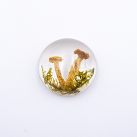Produits faits à la main, dôme de plantes réelles, presse-papiers en résine, spécimens intégrés, fleurs naturelles, ornements artisanaux