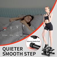 Equipo de entrenamiento en casa Stepper de escalera para ejercicio Mini Steppers con banda de resistencia Hydraulic Fitness Stepper