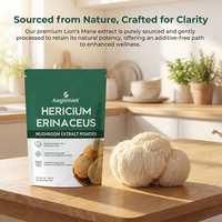 Poudre d'extrait de champignon Crinière de lion OEM ODM 100 % pure (Hericium Erinaceus) pour la mémoire et la concentration, supplément cérébral nootropique