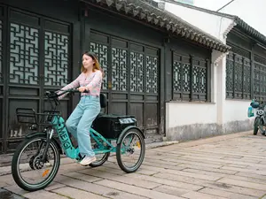 2024 New Motorcycle Electric Tricycles Cheap Brushless Motor Electric Tricycle Cargo Folding Etrike In The USA Warehouse