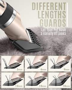 Guantes y Rodillos Profesionales de Acero Inoxidable <span class=keywords><strong>para</strong></span> Depilación con Diseño Seguro y Suave, Suministros de Belleza <span class=keywords><strong>para</strong></span> Peluquería - Product Image 6