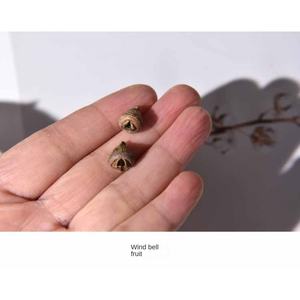 Materiales Naturales Creativos, Plantas de Nicho, Accesorios Personalizados, Joyería de Aretes de Fruta Seca, Aretes de Calabaza - Product Image 6