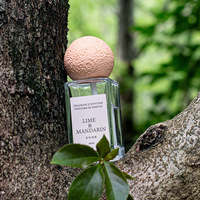 Fabricant de diffuseur de bouteilles en verre naturel de longue durée avec huile essentielle et boule de pierre parfumée parfum de maison