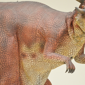 Disfraz <span class=keywords><strong>de</strong></span> Dinosaurio Pachycephalosaurus Rojo <span class=keywords><strong>de</strong></span> la Fábrica <span class=keywords><strong>de</strong></span> Zigong, con Patas Ocultas, Tallas Personalizadas para <span class=keywords><strong>Parques</strong></span> Temáticos, Centros Comerciales y Aeropuertos - Product Image 5
