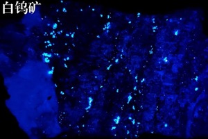 18 Watt sóng ngắn 254nm UVC Led đèn pin SW UV Torch đèn - Product Image 5