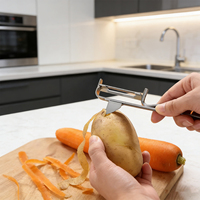 Huishoudelijke keuken gadget fruit- en groenteschiller minimalistische roestvrijstalen schiller