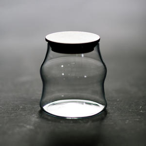 جرة صغيرة من الزجاج الطبيعي للمنزل والحديقة أصيص زهور من rarium لإيكولوجيا الطحلب وأواني المناظر الطبيعية والمزارع - Product Image 5