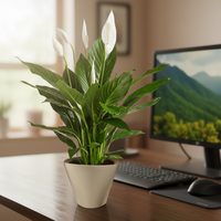Pot Tanaman Modern dengan Sistem Penyiraman Otomatis untuk Dekorasi Rumah - Model Premium Ukuran Besar dengan Indikator Level Air