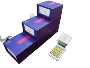 HVA (<span class=keywords><strong>homovanillic</strong></span> acid) Elisa Kit cho nghiên cứu sử dụng - Product Image 4