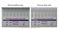 LONGTIME Veterinär-Brucella-Coombs-Testkit für Rinder