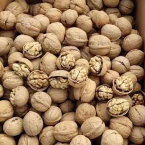 Nouvelle Récolte 2026 : <span class=keywords><strong>Noix</strong></span> Entières <span class=keywords><strong>de</strong></span> Haute Qualité, Fraîches et Naturelles, Idéales pour les Snacks, la Pâtisserie et la Vente en Gros - Product Image 6