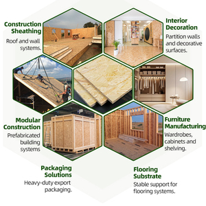 Mejor Precio Tablero <span class=keywords><strong>OSB</strong></span> 1220x2440mm 6/9/12/15/18mm Superficie Lijada ENF <span class=keywords><strong>OSB</strong></span>/2/3/4 Flakeboard Panel para Uso en Muebles - Product Image 5