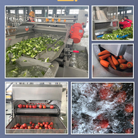 Aicnpack Verse Groentesalade Verwerkingslijn Snelle Bevroren Groente-En Fruitproductielijn Verwerkingslijn