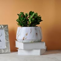 P515 Pots de plantes en plastique décoratifs modernes pour l'intérieur et l'extérieur, pots de fleurs en plastique pour bonsaï en gros