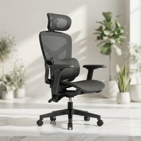 Ergonomischer Bürostuhl mit Höhenverstellung, Modernes Netzdesign, Lendenwirbelstütze, Wasserdicht, Drehbar - Für Büro, Fitness-Studio, Hotel