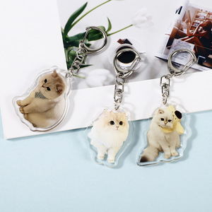 Chất lượng cao Keychain tùy chỉnh dễ thương động vật Acrylic Standee ánh sáng lên Keychain Acrylic LED Keychain huy hiệu cho quà tặng và túi xách - Product Image 2