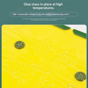 Pièges à rats à colle forte et résistante, non toxiques, pour la lutte antiparasitaire en intérieur, piège à colle pour rongeurs à haute efficacité - Product Image 2