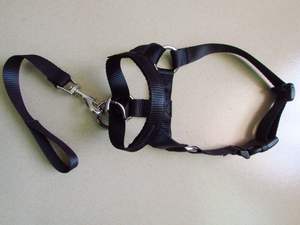 공장 공급 솔리드 패턴 개 총구 및 훈련 풀 가죽 끈 안티 폭동 개 산책 도매를위한 나일론 PU 실리콘으로 만든 - Product Image 6