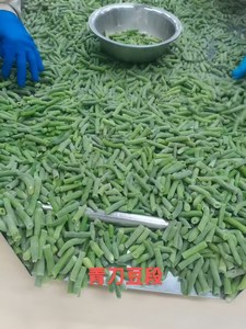 Fournisseur direct d'usine, haricots verts surgelés non-OGM, <span class=keywords><strong>prix</strong></span> imbattable, haute qualité, certifiés BRC, HALAL, HACCP - Product Image 4
