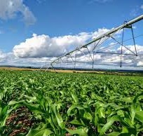Agricultural Center Pivot Irrigation Machine with Fertilizer Spreader for Sale