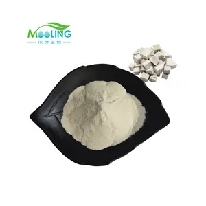 Wholesale Natural Poria Cocos Powder Leaf Poria Cocos Extract