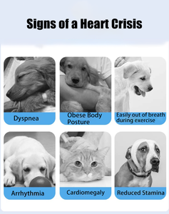 Huisdierco-Enzym Q10 Helpt Bij Het Voorkomen En Helpen Bij De Behandeling Van Hartziekten Van Huisdieren - Product Image 2