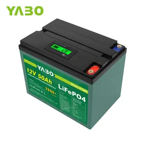 Personnalisé Rechargeable Au Lithium Lifepo4 Liion Li Ion 6V 24V 48V Solaire 12v 50Ah Lifepo4 Batterie