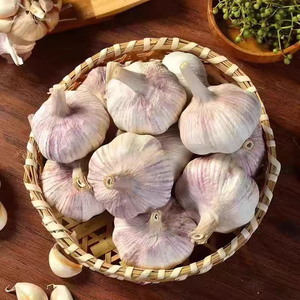 2026 En Kaliteli Toptan Tayland Taze Sarımsak / En Yeni Ürün Sarımsak / Beyaz Taze Sarımsak Uygun Fiyat - Product Image 2