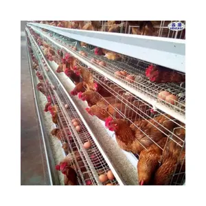 Low Price A cage Type Galvanized Laying Hens Battery Cages egg Layer chicken cage for poultry Farms in Kenya