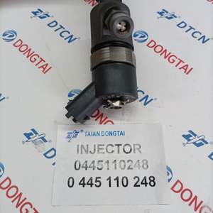 Inyector Common Rail DELPHI 0445110248 de Acero para Camiones ABG 1976-1982, Pieza de Combustible de 20cm, Reemplazo 504088823 - Product Image 2