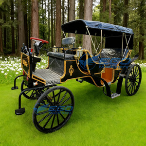 Charrette de balade électrique haut de gamme noire, style Cendrillon, de luxe, de haute qualité, de type wagon européen, à vendre - Product Image 1