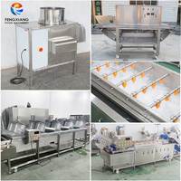 Automatische Knoflook Productielijn Knoflook Scheiden Peeling Wassen Lucht Drogen En Verpakkingsmachine In Indonesië