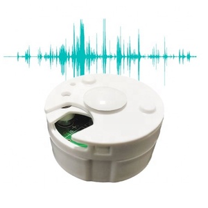 Módulo de Caja de Sonido Redonda Personalizada, Juguetes Educativos, Grabador de Voz con Botón para Peluches, Libros de Sonido, Aprendizaje Temprano para Niños - Product Image 3
