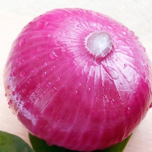 Cebolla Roja Congelada IQF en Cubos, Rodajas y Anillos, Certificada BRC/HACCP, Venta al por Mayor para Servicios de Alimentación - Product Image 2