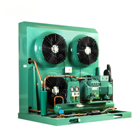 Unité de condensation à refroidissement par air à décharge latérale pour chambre froide basse température avec compresseur à piston semi-hermétique