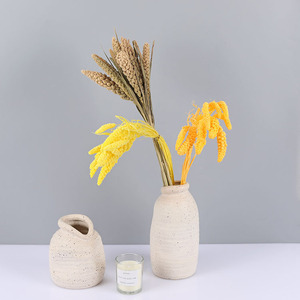 Épis <span class=keywords><strong>de</strong></span> millet séché naturel, tiges <span class=keywords><strong>de</strong></span> millet foxtail préservées pour la décoration intérieure, les loisirs créatifs, les accessoires photo et les arrangements floraux - Product Image 3