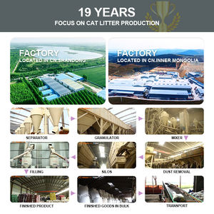 Pabrik OEM Premium gumpalan kuat tanaman kucing pasir Eco Clean 2mm bentuk garis karbon aktif kontrol bau tahu sampah kucing - Product Image 6
