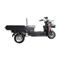 Triciclo Paige de Gran Potencia, Otros Triciclos Motorizados, Scooter de 3 Ruedas, Motocicleta de Baja Velocidad, Triciclo Eléctrico 60V 1500w