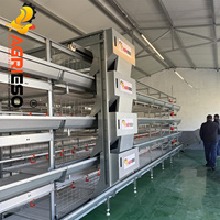 Agrieso Cage de batterie pour poulets de chair de matériel de ferme avicole automatique à vendre à bon prix