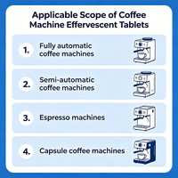 Comprimés effervescents nettoyants pour machine à café, pastilles pour expresso, OEM ODM disponibles, 24 pièces par boîte, 5 grammes par pièce