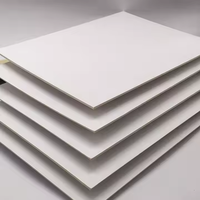 High Quality 120g 250g Coated Double Side White Kraft Paper Jumbol Roll 787*1092mm for Photo Frame & Candle