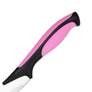 ชุดมีดทำครัวสแตนเลส 6 ชิ้น พร้อมด้ามจับพลาสติกหลากสีแบบใช้แล้วทิ้ง - Product Image 3