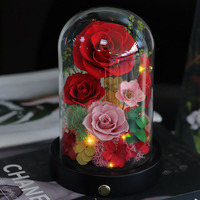 Rose naturelle préservée sous cloche en verre avec lumière LED, plusieurs couleurs, faite à la main, éternelle, longue durée, 3-5 ans, Fête des Mères, Remise de diplôme