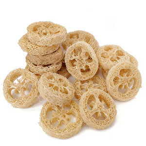 20 Piezas de Luffa Natural para Hacer Jabón, Cortes de Luffa Orgánica para Jabones Exfoliantes <span class=keywords><strong>Caseros</strong></span> Hechos a Mano - Product Image 1