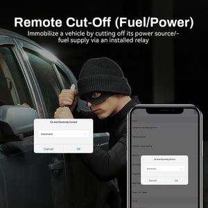C529 лучший GPS-трекер для двигателя 4G глобальная карта <span class=keywords><strong>Google</strong></span> отслеживание в реальном времени точный локатор OEM ODM сервис локальная языковая платформа - Product Image 5