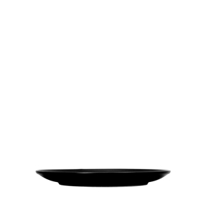 Plaque plate Ferro 25 cm pour usage quotidien - Product Image 2