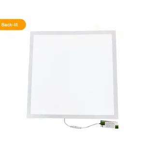 LED Cleanroom Panel Light 600x600 1200x300 Led Purification Light Cleanroom Panel Light For Pharmaceutical Factory Clean Room